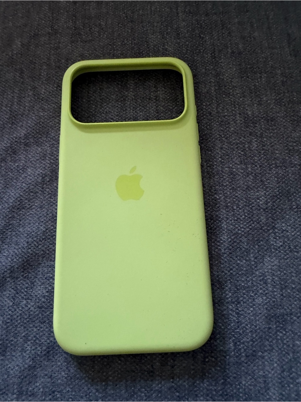 iPhone 17 Pro Max Apple Silicone Case